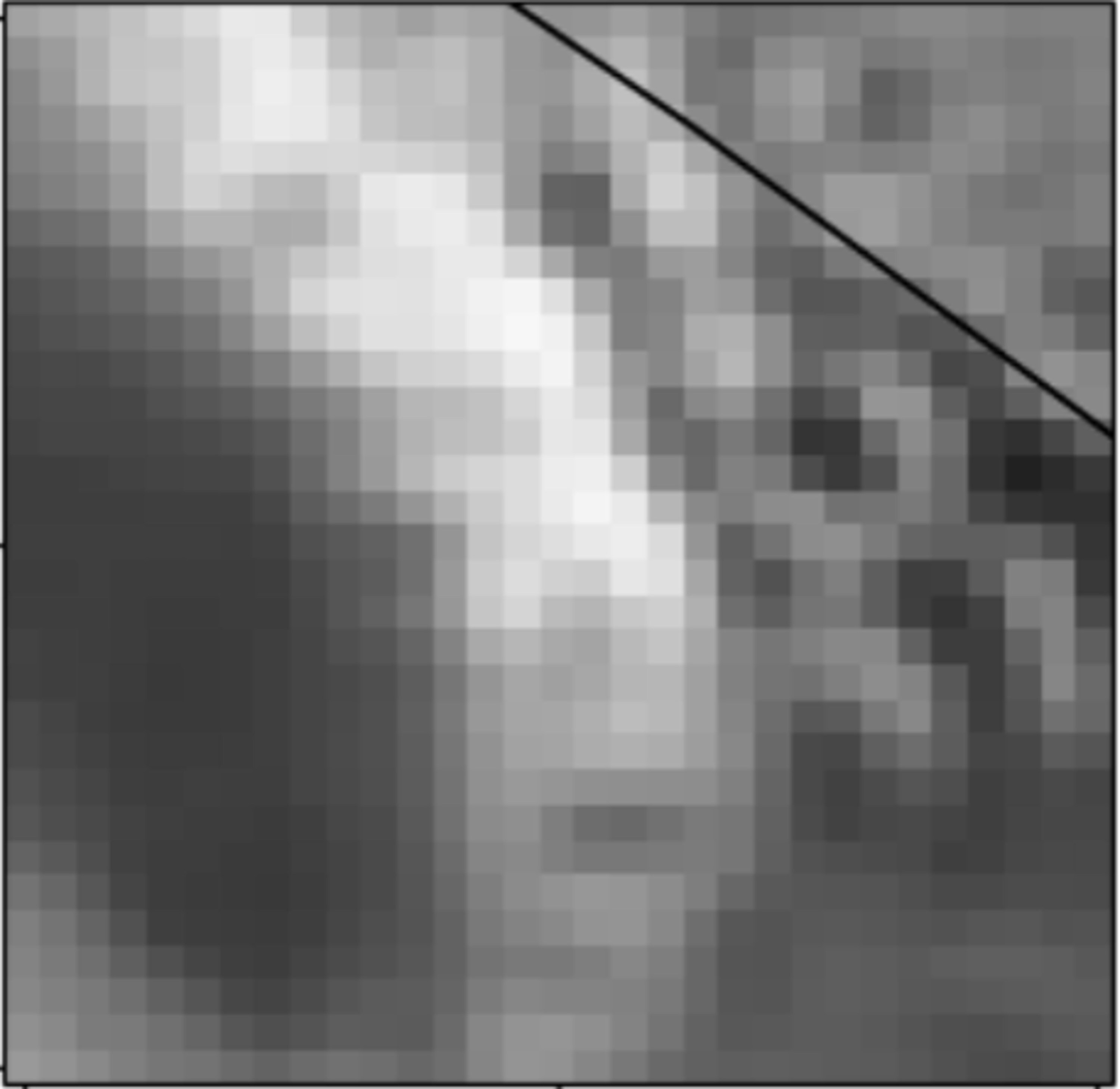 Donwscale 2.1